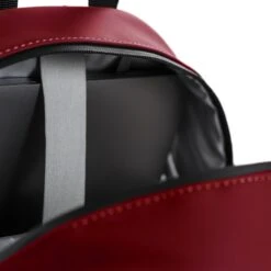 Daniel Ray Montgomery Waterafstotende Rugtas Red 11 Daniel Ray Montgomery Waterafstotende Rugtas Red -Tassen Verkoopwinkel image 3211