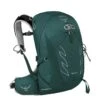Osprey Tempest 20 Women's Backpack M/L Jasper Green 1 Osprey Tempest 20 Women's Backpack M/L Jasper Green -Tassen Verkoopwinkel image 951